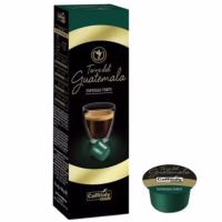 Caffitaly System Terre del Guatemala